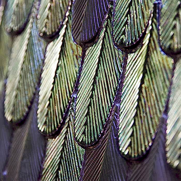 Lorem ipsum dolor sit amet.